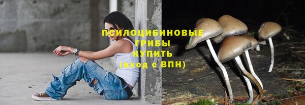 МДПВ Пересвет