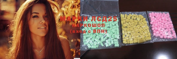ПСИЛОЦИБИНОВЫЕ ГРИБЫ Алзамай