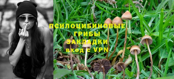 Альфа ПВП Алексин
