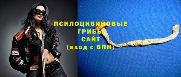 сатива Переславль-Залесский