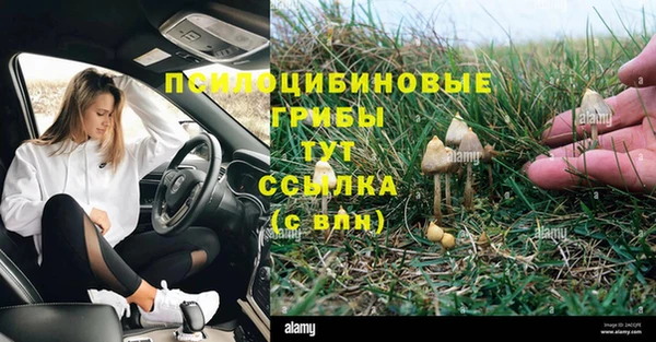 ПСИЛОЦИБИНОВЫЕ ГРИБЫ Алзамай