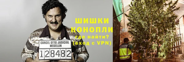 ПСИЛОЦИБИНОВЫЕ ГРИБЫ Алзамай